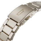 Stainless Steel Strap – Beige Gold Brushed